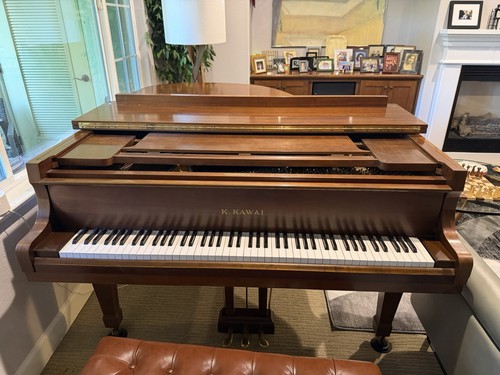 Kawai 10 walnut - kawai, kg-2c,