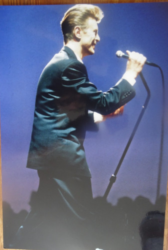 David bowie photos 20x30cm - bowie,