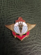 Insigne 4 BCCP