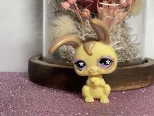 🌸 petshop lapin Garenne