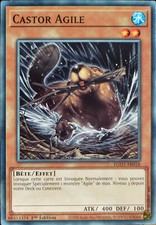 carte YU-GI-OH EGO1-FR018