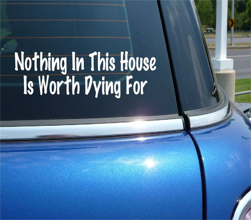 Nothing this house - nothing,