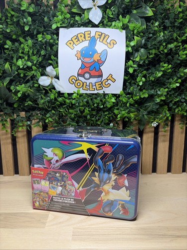 Pokémon valisette - 🇫🇷,