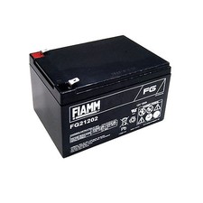 Fiamm FG21202 Batterie au