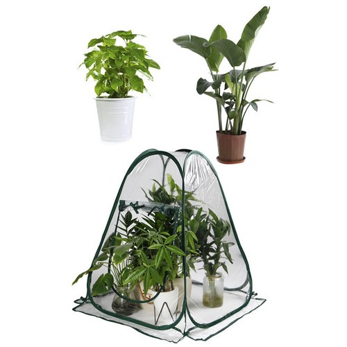 Petite serre portable pour