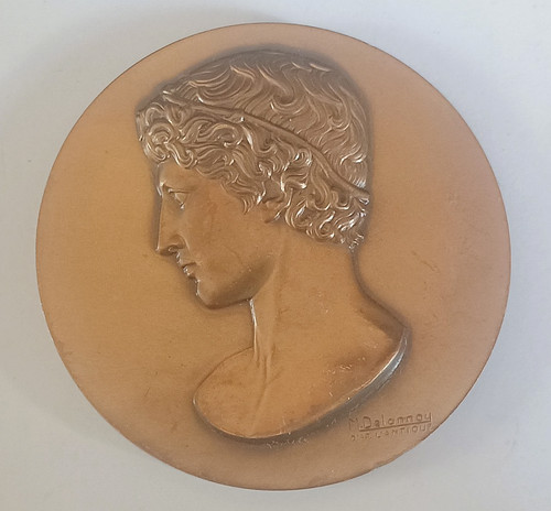 Médaille conseil - ...,