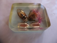 objet de curiosité, objet de vitrine inclusion en résine. insecte sablier fleur