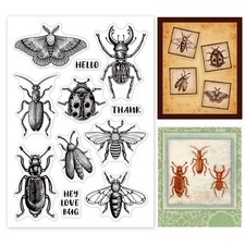 Ensembles de tampons Insectes
