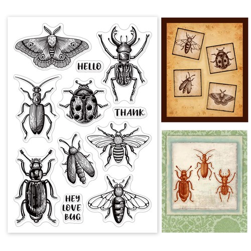 Ensembles tampons insectes - ensembles, de