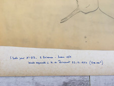 Henri de LINARES (1904-1987) Etude originale pour foulrad Maison Hermès bécasse