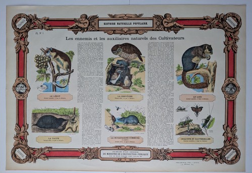 Histoire naturelle populaire - naturelle,