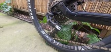 Canyon torque carbon fiber