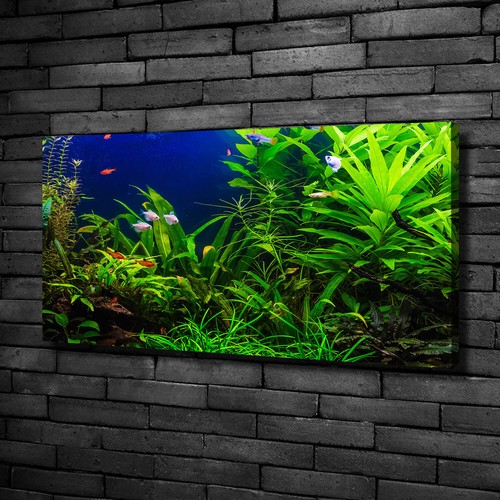 Tulup tableaux sur toile image - toile,