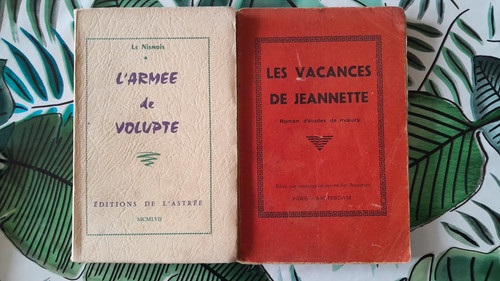 Romans érotiques curiosa - 2,
