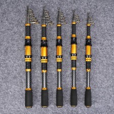 Canne à pêche télescopique