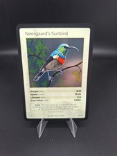 Life Tcg Birds : Neergaard's Sunbird HOLO 31/130 POP 5000