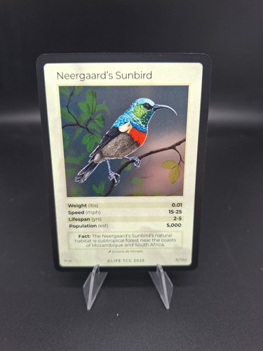 Life tcg birds neergaard s - birds, :