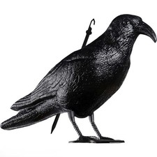 Statue Effaroucheur Corbeau