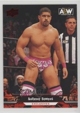 2023 Upper Deck AEW All Elite