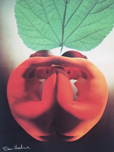 Carte postale sam haskins - carte,