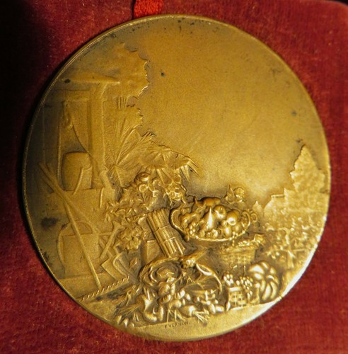 Medaille bronze xixème - bronze,
