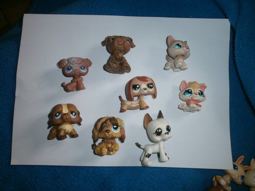Lot lps littlest - lot, 8