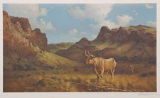 Robert Summers, Texas