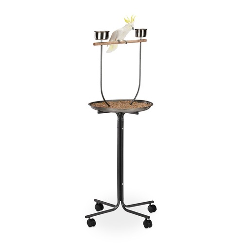 Perchoir perroquet support