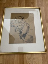 Dessin Ancien Taureaux de