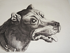 Gravure du 19ème siècle