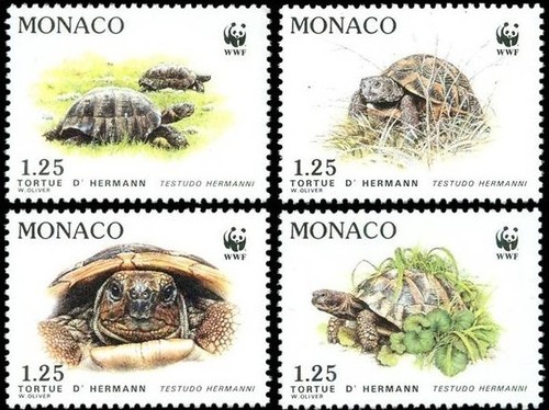 Timbre monaco 1805 1808 - timbre, 1805/1808**