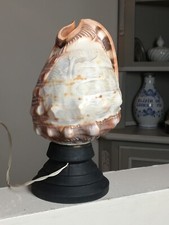 Lampe veilleuse coquillage