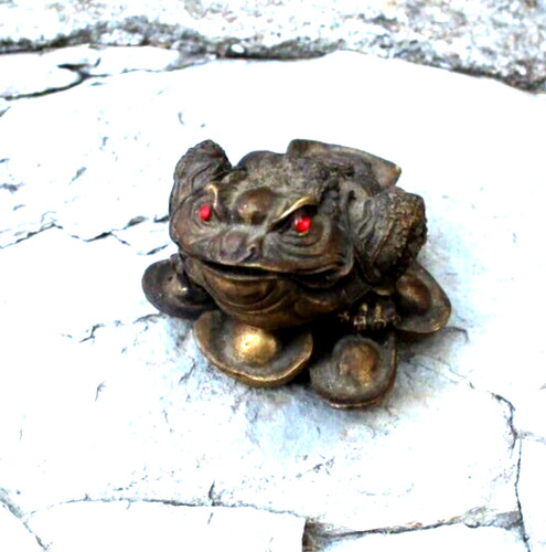 grenouille ou crapaud en
