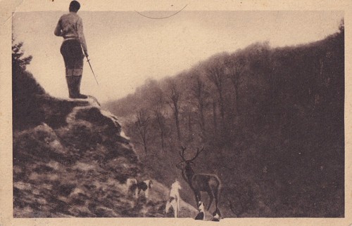 Antique postcard - antique,