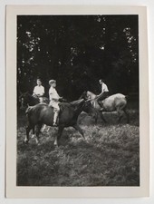 3 garçons montent cheval équitation campagne - Photo ancienne snapshot 1941