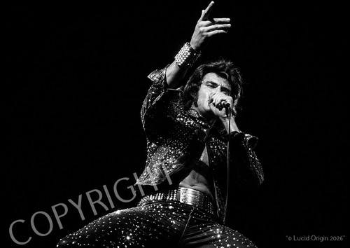 Photo johnny hallyday - a4,