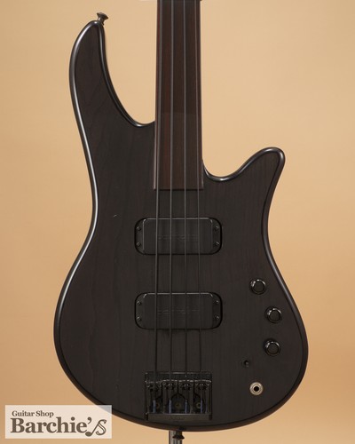 Strosek bass fretless - bass,