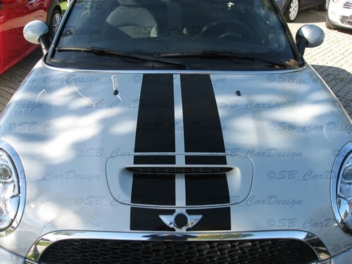 Viper rayures autocollant - rayures,