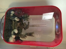 aquarium Biorb 45 litres avec pied