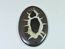 Cabochon naturel de forme