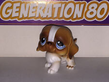 Littlest PetShop CHIOT SAINT BERNARD BLANC ET MARRON 76 H023 DOG CHIEN Pet Shop