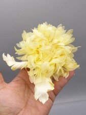 Grande Fleur en tissu ancienne Modiste, Chapeau, Broche 1950's Mercerie Vintage