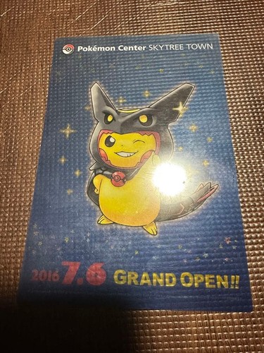 Rayquaza poncho pikachu - poncho,