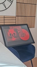 cadre vinyle twenty one pilots