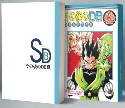 Dragon ball after - dragon,