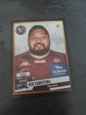 Sticker panini rugby top 14