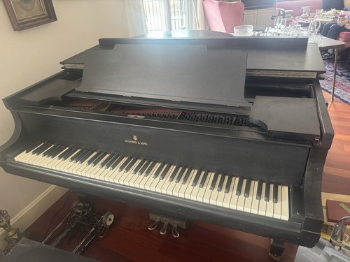 Steinway sons model - sons, m