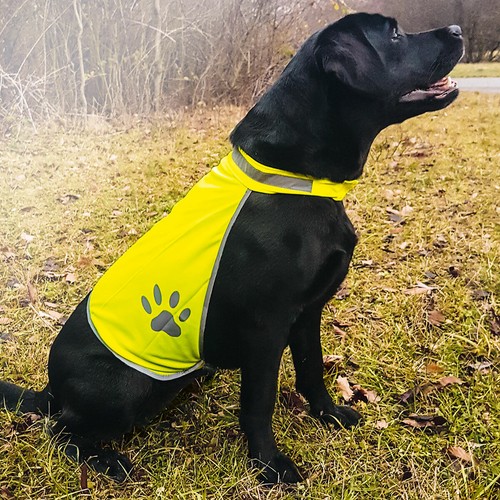 Gilet haute visibilité pour - gilet,