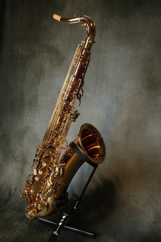 Yanagisawa wo20 - yanagisawa, t-wo20