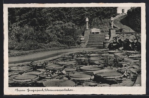 Essen parc gruga - parc, bassin